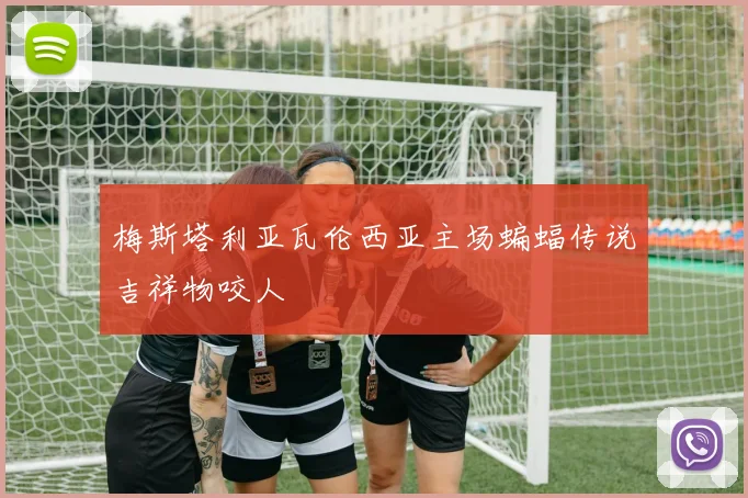 梅斯塔利亚瓦伦西亚主场蝙蝠传说吉祥物咬人