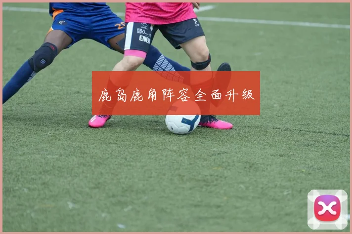 鹿岛鹿角阵容全面升级