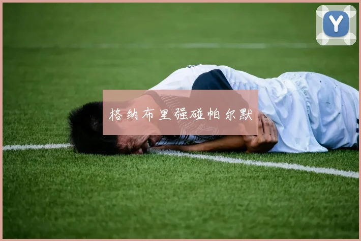 格纳布里强碰帕尔默