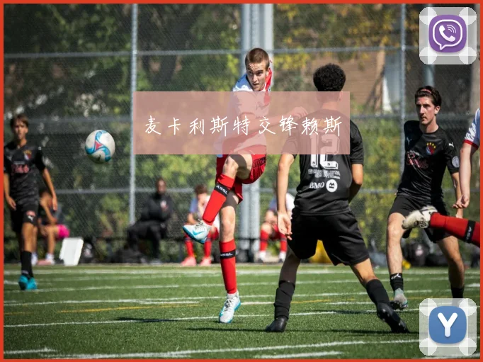 麦卡利斯特交锋赖斯