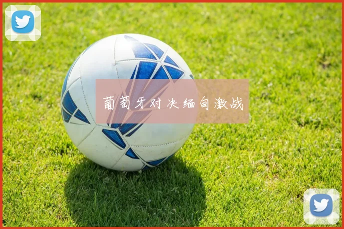 葡萄牙对决缅甸激战