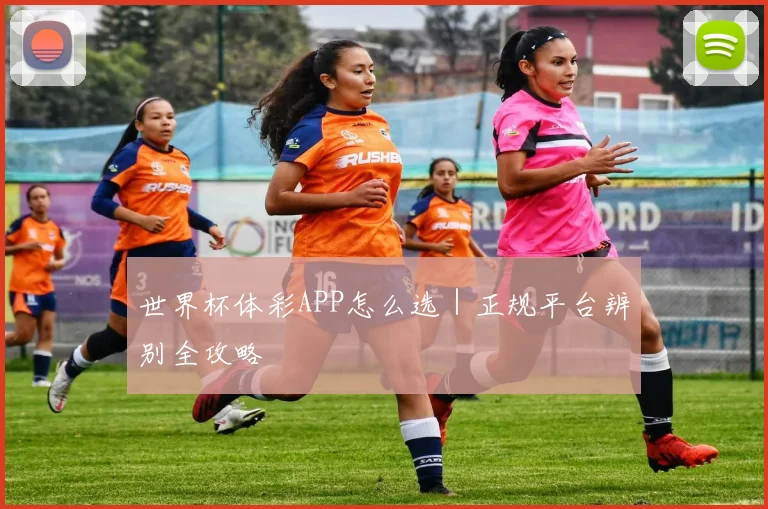 世界杯体彩APP怎么选｜正规平台辨别全攻略