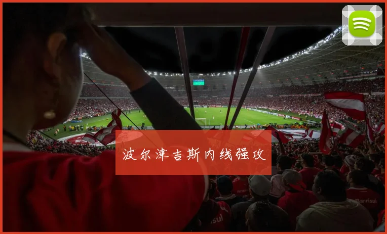 波尔津吉斯内线强攻