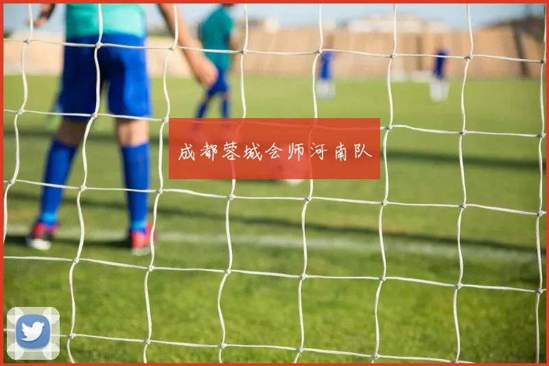 成都蓉城会师河南队