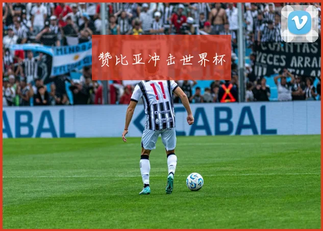赞比亚冲击世界杯