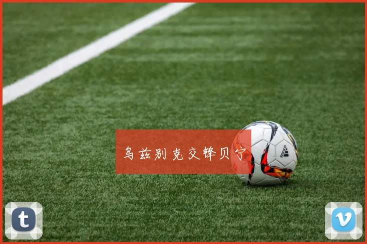 乌兹别克交锋贝宁