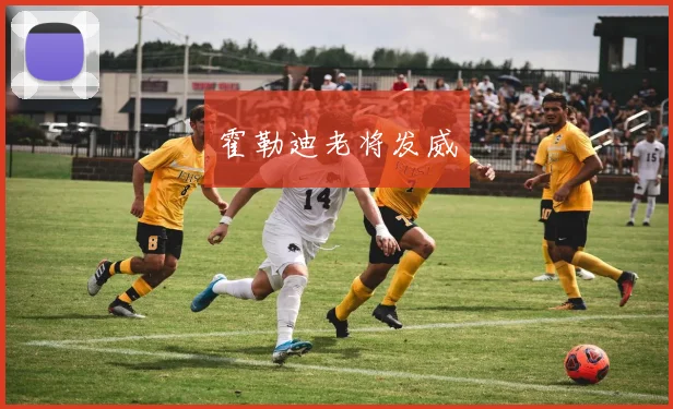 霍勒迪老将发威