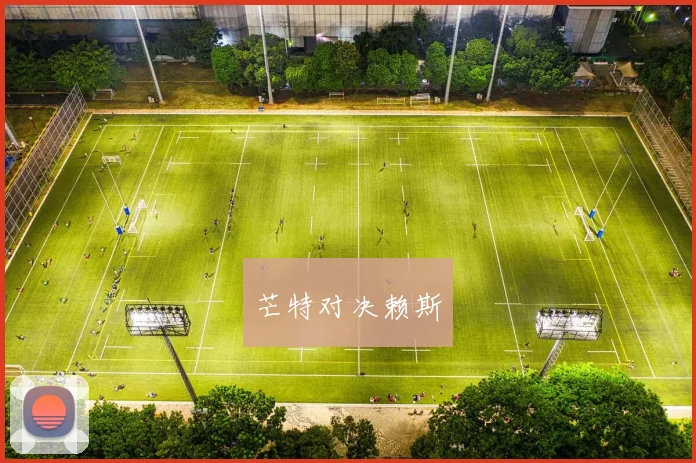 芒特对决赖斯