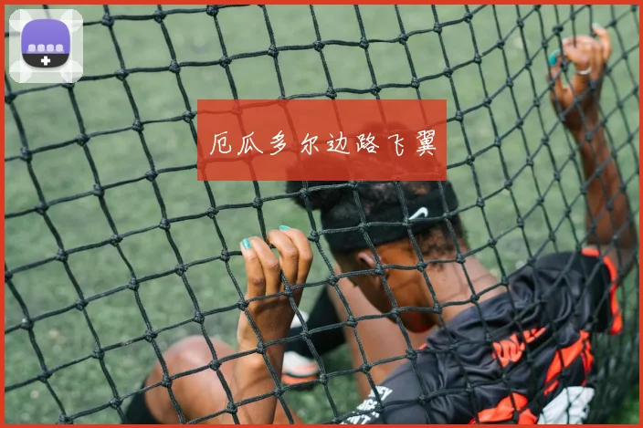 厄瓜多尔边路飞翼