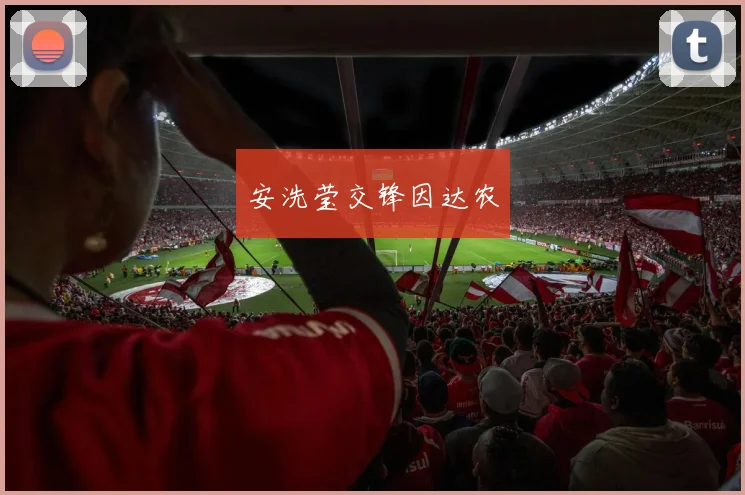 安洗莹交锋因达农