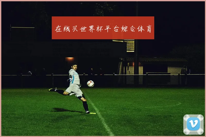在线买世界杯平台综合体育