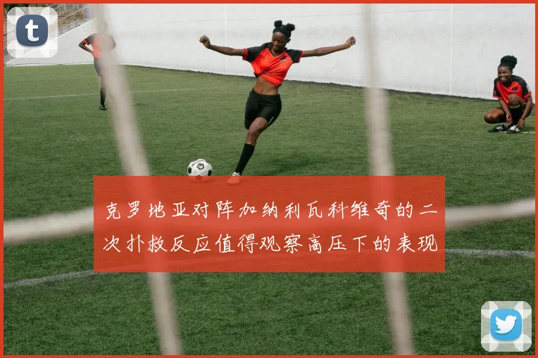克罗地亚对阵加纳利瓦科维奇的二次扑救反应值得观察高压下的表现