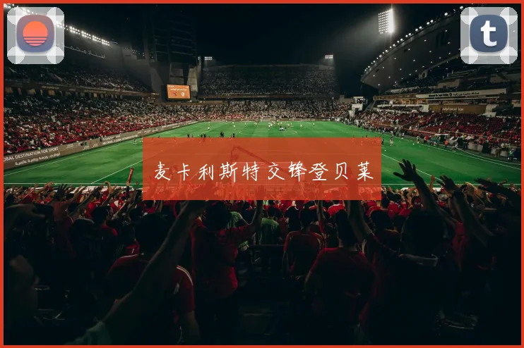 麦卡利斯特交锋登贝莱