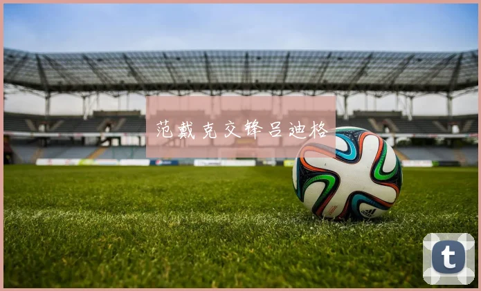 范戴克交锋吕迪格