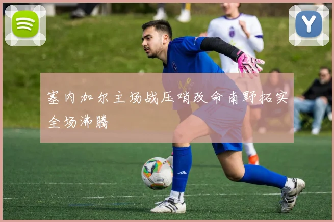 塞内加尔主场战压哨改命南野拓实全场沸腾