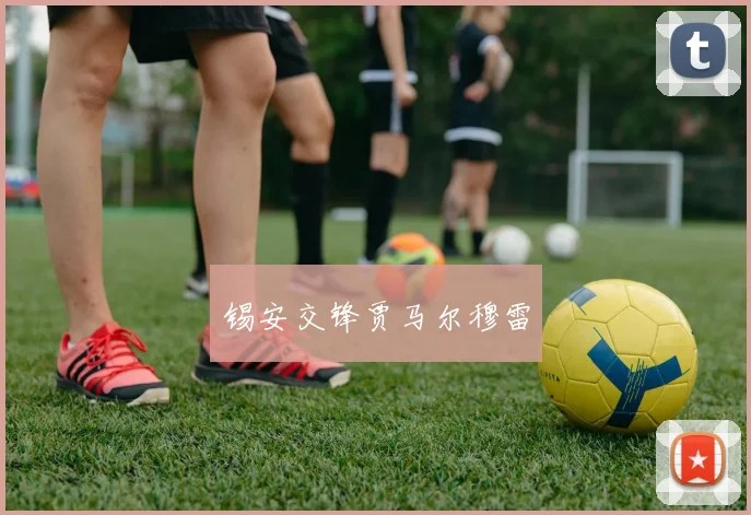 锡安交锋贾马尔穆雷