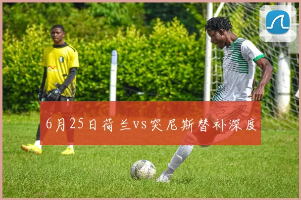 6月25日荷兰vs突尼斯替补深度