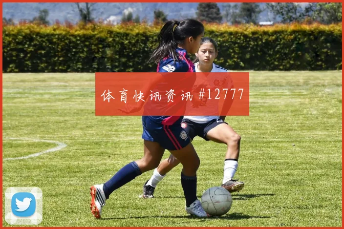 比利时面对新西兰防守反击能否打出效率冷门风险研判